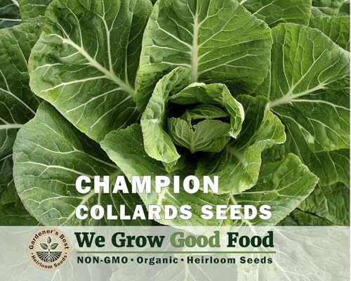 Collard Greens Seeds for Planting (Collards Jumb Combo, 1000, Count) - Image 2