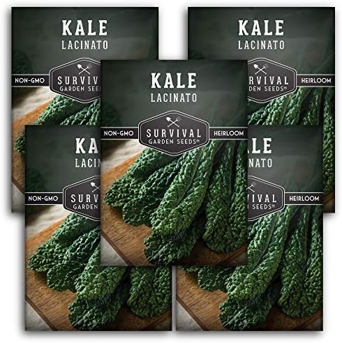 Lacinato Kale Seeds for Planting, Dinosaur Tuscan Variety - 5 Packs by SurvivalGardenSeeds