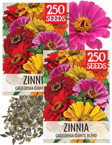 Seed Needs California Giants Zinnia Seeds to Plant Cut Flowers - 2 Packs by SeedNeeds