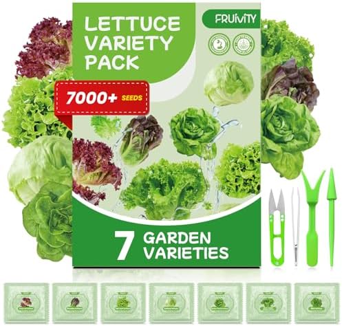 7 Variety Mix Lettuce Seeds - 7000+ Heirloom Lettuce Seeds for Planting Including Romaine, Butter Lettuce, Iceberg Lettuce, etc - Outdoor Hydroponics Gardens Fresh Leafy Green Vegetables Easy to Grow by Fruivity