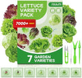 7 Variety Mix Lettuce Seeds - 7000+ Heirloom Lettuce Seeds for Planting Including Romaine, Butter Lettuce, Iceberg Lettuce, etc - Outdoor Hydroponics Gardens Fresh Leafy Green Vegetables Easy to Grow by Fruivity