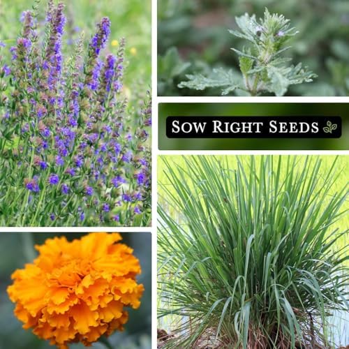 Sow Right Seeds - Insect & Pest Repellent Seed Collection for Planting - Image 4