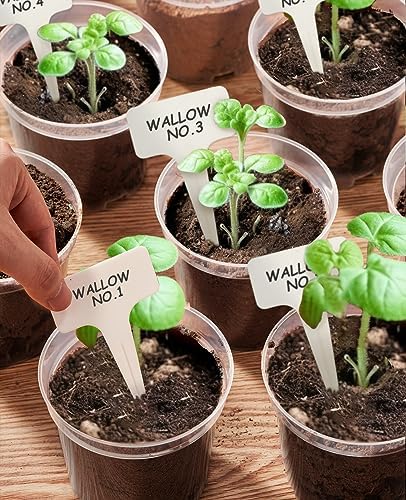 homenote 4 Inch Clear Nursery Pots with Drainage Holes for Plants (30 Pcs) - Image 2