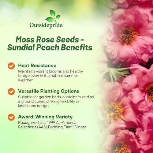 Outsidepride Sundial Peach Portulaca Moss Rose Seeds - 250 Pcs Annual, Heat & Drought Tolerant, Soil Adaptable Moss Seeds Ground Cover & Flower Seeds for Planting in Gardens & Xeriscapes (AAS Winner) - Image 3