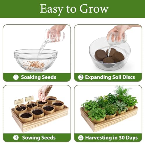 LUOJIBIE Herb Garden Kit Indoor, Herb Growing Kit with Seeds & Tools, Birthday Gifts for Women Men Mom Dad Girls Boys Kids, House Warming Gifts New Home, Kitchen Décor - Image 3