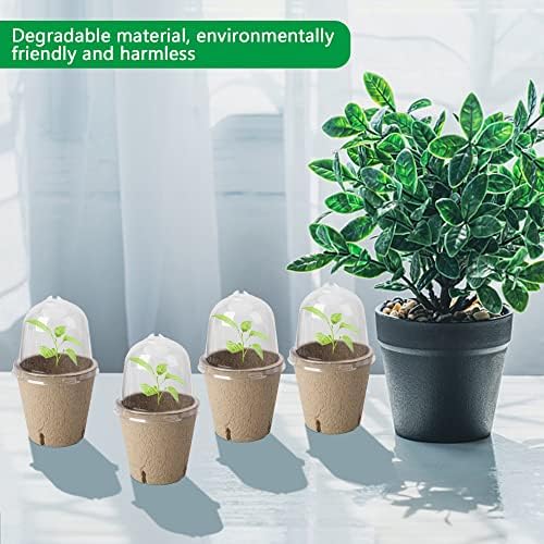 20 Packs Biodegradable Pots with Humidity Dome, 3.1" Seed Starter Peat Pots - Image 5
