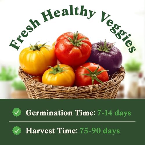 Organic Non-GMO Vegetable Seeds for Planting (Beefsteak Tomato) - Image 2