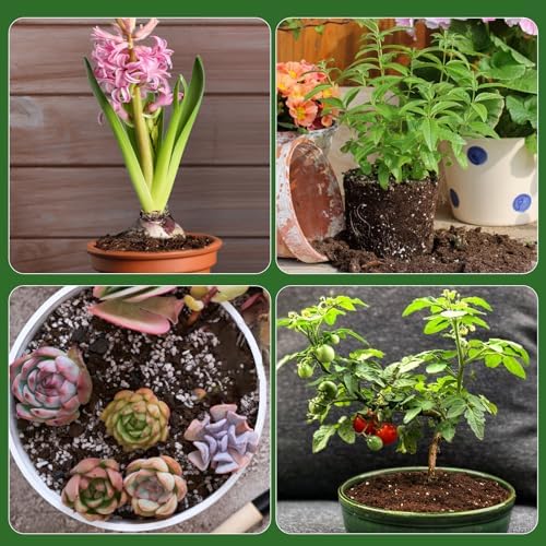 Doter Organic Seed Starter Premium Potting Soil Mix 1qt, All Natural Seed Starter Mix for Fast Germination and Vigorous Seedlings with Strong Root Systems - Image 6