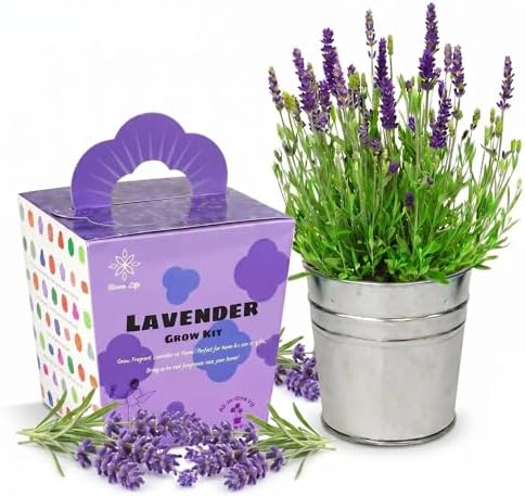 Lavender Grow Kit, All-in-One Indoor Flower Garden Starter Kit with Conical Metal Planter, Complete Growing Set for Gardening Enthusiasts, Windowsill Home Gardening by Unknown