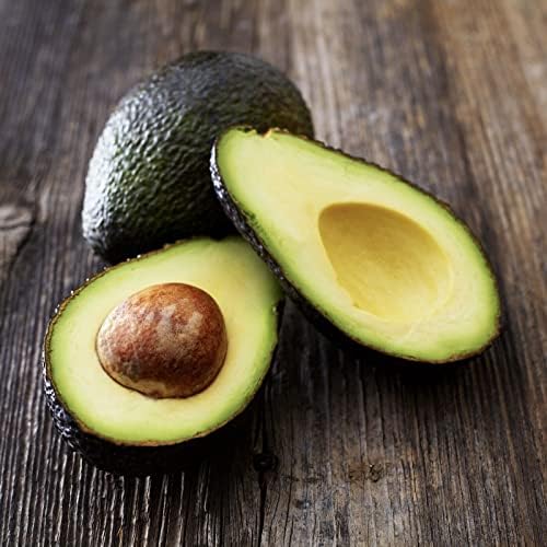 HASS Avocado Tree - Live Big Fruit Tree 12"-24" Tropical Plantae - Image 4