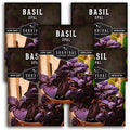Opal Basil Seeds for Planting - Survival Garden Seeds (5 Pack) by SurvivalGardenSeeds