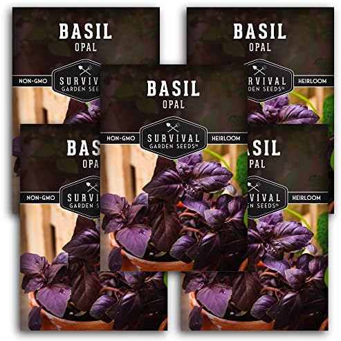 Opal Basil Seeds for Planting - Survival Garden Seeds (5 Pack) by SurvivalGardenSeeds