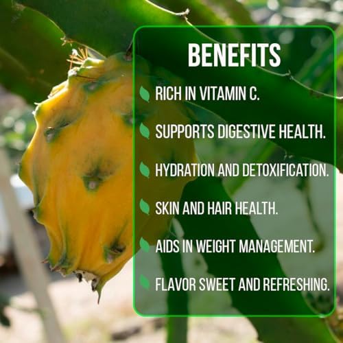 Dragon Fruit Yellow Dragon (4 Pack) | Real Live Fruit Plants for Sale | Rare Exotic Variety | Sweet Edible Fruit | Easy to Grow Live Plants for Organic Gardens - Image 6