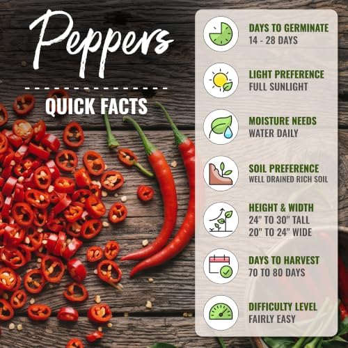 Seed Needs Thin Cayenne Pepper Seeds to Plant Vegetables - 20 Packs - Image 4