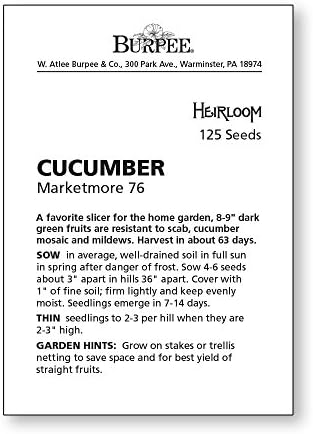 Burpee 'Marketmore 76' Slicing Cucumber Seeds, 125 Non-GMO seeds, Heirloom - Image 7
