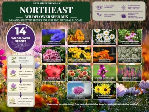 Pennsylvania Bulk Wildflower Seed Mix 1lb Covers 2,000sq-ft - Attract Pollinators, Multi-Color Perennial and Annual Non-GMO Blooms - Northeast US Species Plant in Spring/Fall (1 Pound) - Image 3