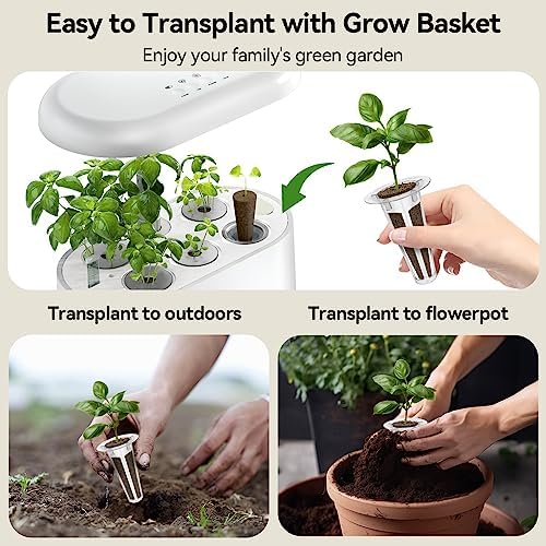 inbloom Gourmet Herb Seed Pod Kit for AeroGarden, iDoo, Ahopegarden with Basil, Parsley, Cilantro, Chrysanthemum, Pak Choi, Crystalline Ice Plant, Onion, Hydroponics Growing System Supply (12-Pod) - Image 3