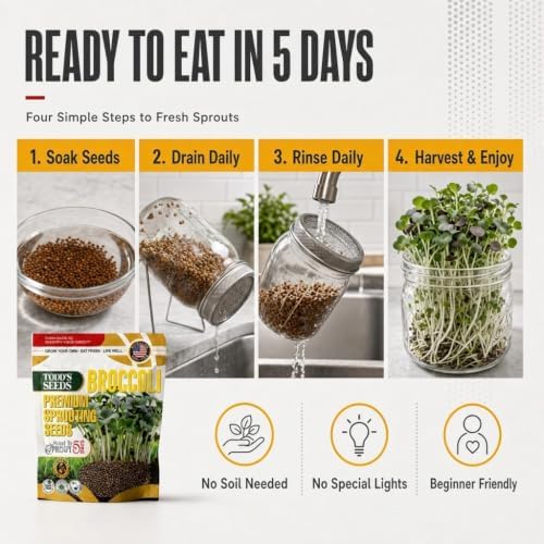 Broccoli Sprouting Seeds, 2 lb Bulk - Non-GMO - Image 5