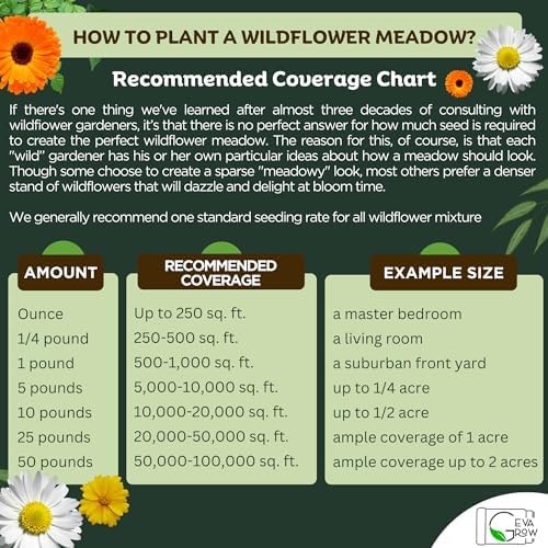 Wildflower Seed s – Perennial Flower Seeds Mix to Plant Anywhere, by Geva Grow | 12-Type Beautiful Perennial Wildflower Seeds Bulk 90,000+ Seeds, 2 Ounce, No Messy Packets - Image 6