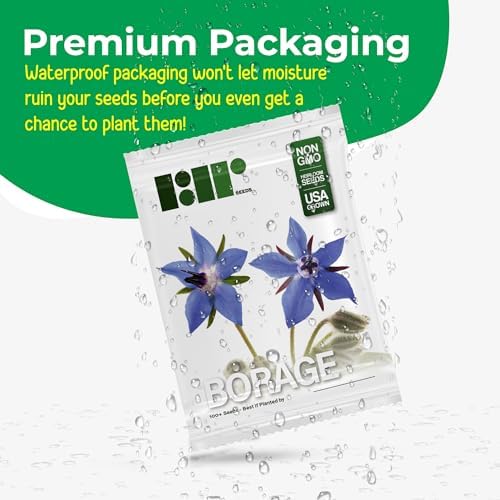 Borage Seeds - Starflower - Heirloom Non-GMO Herb Seeds for Planting an Herb Garden - 100 Seeds - Borago Officinalis - by RDR Seeds - Image 3