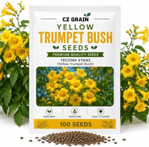 Yellow Trumpetbush Seeds for Planting | 100 Seeds | Bright Yellow Flowers by CZGrain