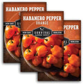 Orange Habanero Seeds for Planting – Survival Garden Seeds (3 Pack) by SurvivalGardenSeeds