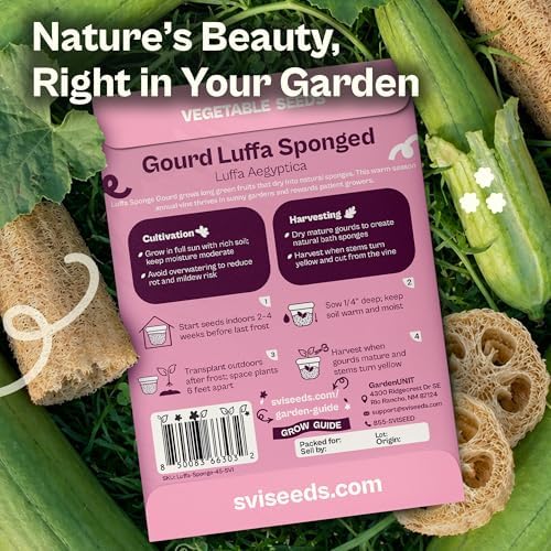 SVI 45 Luffa Sponge Gourd (Luffa Aegyptica) Seeds - Loofah, Natural Sponge, Non GMO Heirloom Seed Packets - Annual Vegetable Seeds for Outdoors, Home Garden, Vertical Growing Systems - Image 2