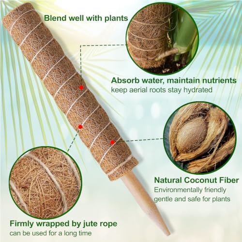 Fabulas Moss Pole Monstera Plant Support, Extended to 48 Inch, 4 Pack 16 in - Image 4