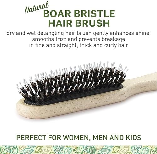 Natural Boar Bristle Hair Brush for Women, Men, Kids; Dry and Wet Detangling Hair Brush Gently Enhances Shine, Smooths Frizz and Prevents Breakage in Fine and Straight, Thick and Curly Hair (long) - Image 2