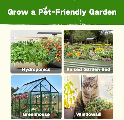 Lush&Dew Pet-Friendly Heirloom Seed Bank, Gardening Gifts for Women Men - Image 6