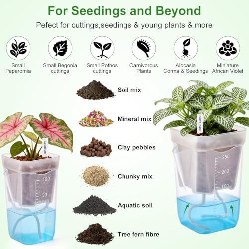 2.5" Clear Self Watering Pots for Indoor Plants,16PCS Mini Plastic Nursery Planters with Water Level Indicator & Drainage Holes for Propagation,Succulents,Seedling,African Violet,Plant Labels - Image 3