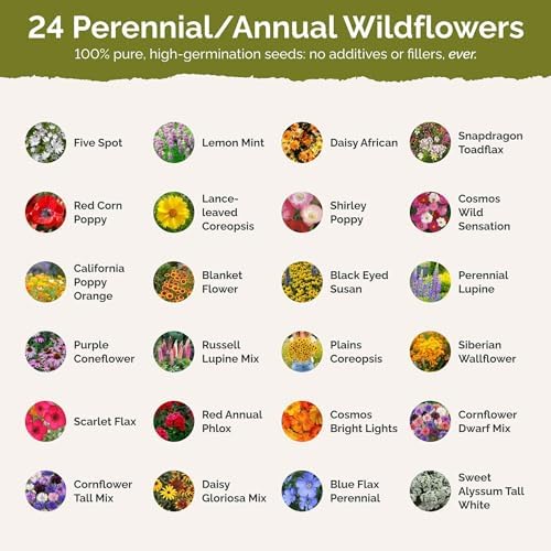 Eden Brothers Southeast Wildflower Mixed Seeds for Planting, 10 lb - Image 3
