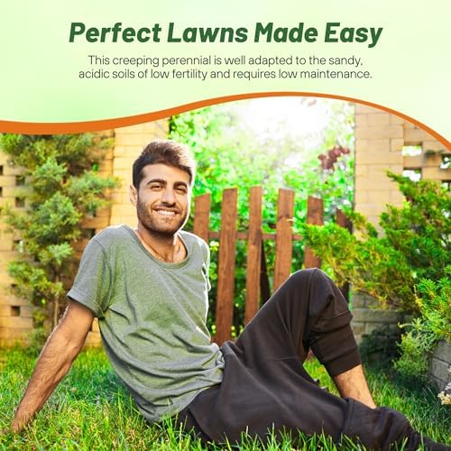 Outsidepride Centipede Grass Seed - 1 Lb Slow Growing, Shade & Drought Tolerant, Coarse Leaved Warm Season General Purpose Turf Grass Seed, Ideal Versatile & Low Maintenance Lawn Solution - Image 6