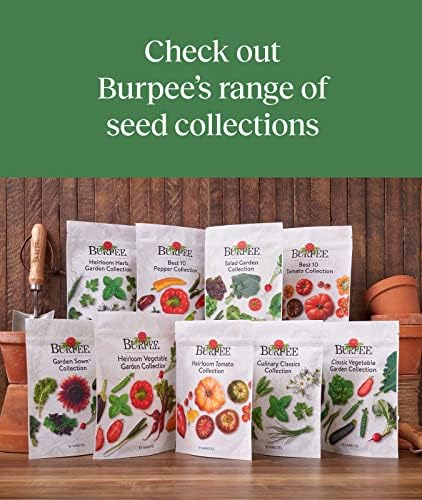 Burpee Garden Sown Flower, Herb & Vegetable 10 Packs of Non-GMO Basil, Lettuce, Cucumber, Radish, Spinach, Kale, Zucchini, Sunflower & Marigold, Seeds for Planting - Image 7