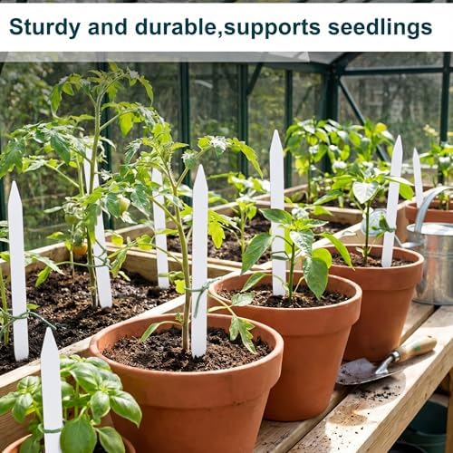 Weysat 100 Pcs 12" Wood Plant Labels for Field or Containers Plant Tags Wood Garden Labels for Seedling Stakes Markers Nursery Seed Tags with Smooth Surface for Pot Herbs Flowers Vegetables - Image 5