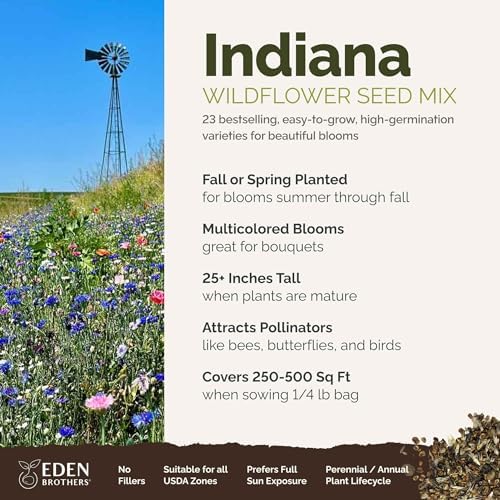 Eden Brothers Indiana Wildflower Mixed Seeds for Planting, 1/4 lb - Image 2