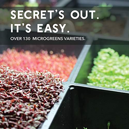 Mountain Valley Seed Co Cauliflower Microgreens Seeds 4 Oz ~32,000 Seeds - Image 6