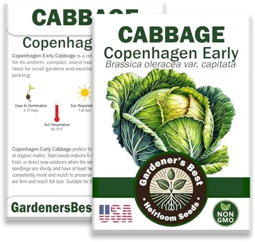 Copenhagen Early Cabbage Seeds for Planting – Organic – High Germination – Heirloom Variety – Compact, Round Heads – Great for Coleslaw and Sauerkraut by WeGrowGoodFood