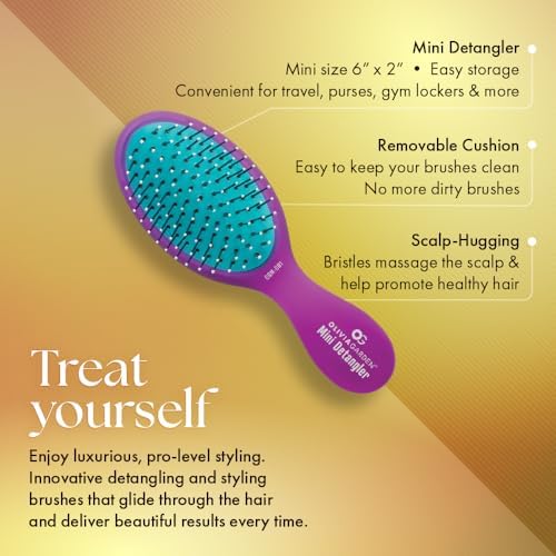 Olivia Garden Aurora Detangler Brush for Wet and Dry Fine to Medium Hair - Detangling Brush for Women, Men, Kids - Image 2