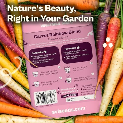 SVI 2500 Rainbow Blend Carrot Seeds (Daucus carota) – Rainbow Carrots Seed Packets, Carrot Seed Mix, Tri Colored Carrots – Heirloom Vegetable Seeds for Outdoor Vegetable Garden - Image 2