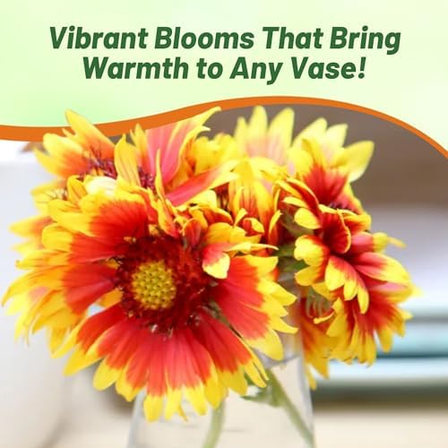 Outsidepride Gaillardia Aristata Red Blanket Flower Seeds for Planting - 1 lb Perennial Wildflower Seeds, Drought-Tolerant for Xeriscaping, Borders, Pollinator Gardens, or Wildflower Mixes - Image 7