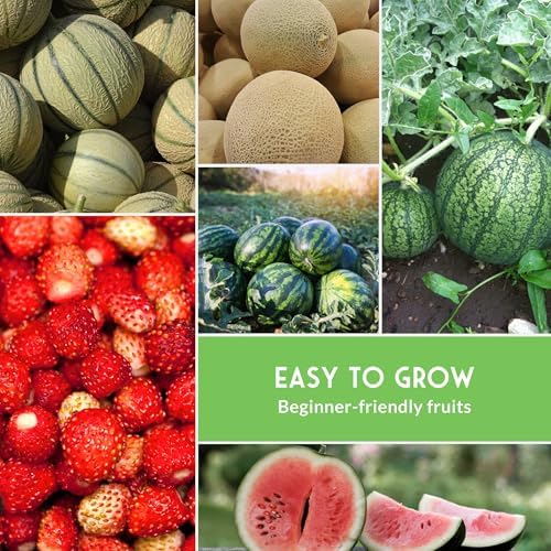 Fruit Seeds for Planting 8 Variety Pack - Non-GMO Heirloom Fruits - Image 5
