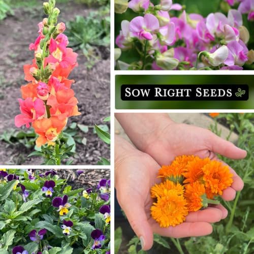 Sow Right Seeds - Frost Hardy Flower Seed Collection for Planting Garden - Image 4