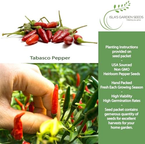 Tabasco Red Hot Chili Pepper Seeds (Capsicum frutescens) – 50+ Non-GMO Heirloom Seeds by Isla’s Garden Seeds, Fiery Compact Variety Producing Red Peppers w Bold Tangy Heat, Hot Sauces, Salsas & Drying - Image 2