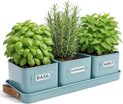 volila Herb Planter Indoor - Set of 3 Teal Blue Indoor Herb Garden Pots for Plants with Leather Handled Tray - Window Sill Plant Shelf - Herb Pots with Drainage Holes and Labels by volila