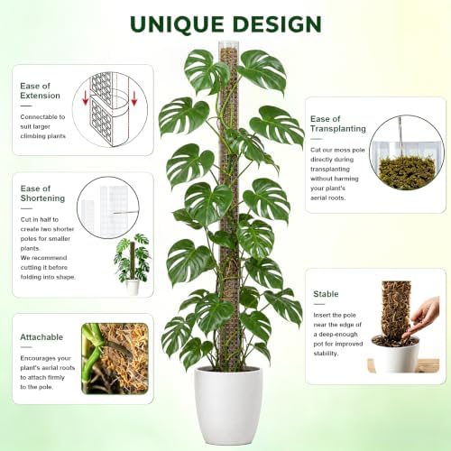 Plastic Moss Pole for Monstera and Climbing Plants, 4Pcs 15" Plant Poles - Image 2