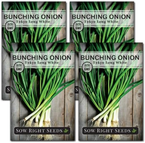 Sow Right Seeds - Tokyo Long White Bunching Onion Seed for Planting 4pk by SowRightSeeds