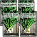 Sow Right Seeds - Tokyo Long White Bunching Onion Seed for Planting 4pk by SowRightSeeds