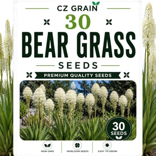 Garden Seeds for Planting, 30 Bear Grass by CZGrain
