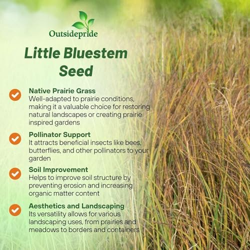 Outsidepride Perennial Little Bluestem Grass Seed - 25 lbs. Warm Season, Drought Resistant, Long-Lived Native Prairie Grass Seed, Ideal for Erosion Control, Ornamental Landscaping & Wildlife Gardens - Image 4